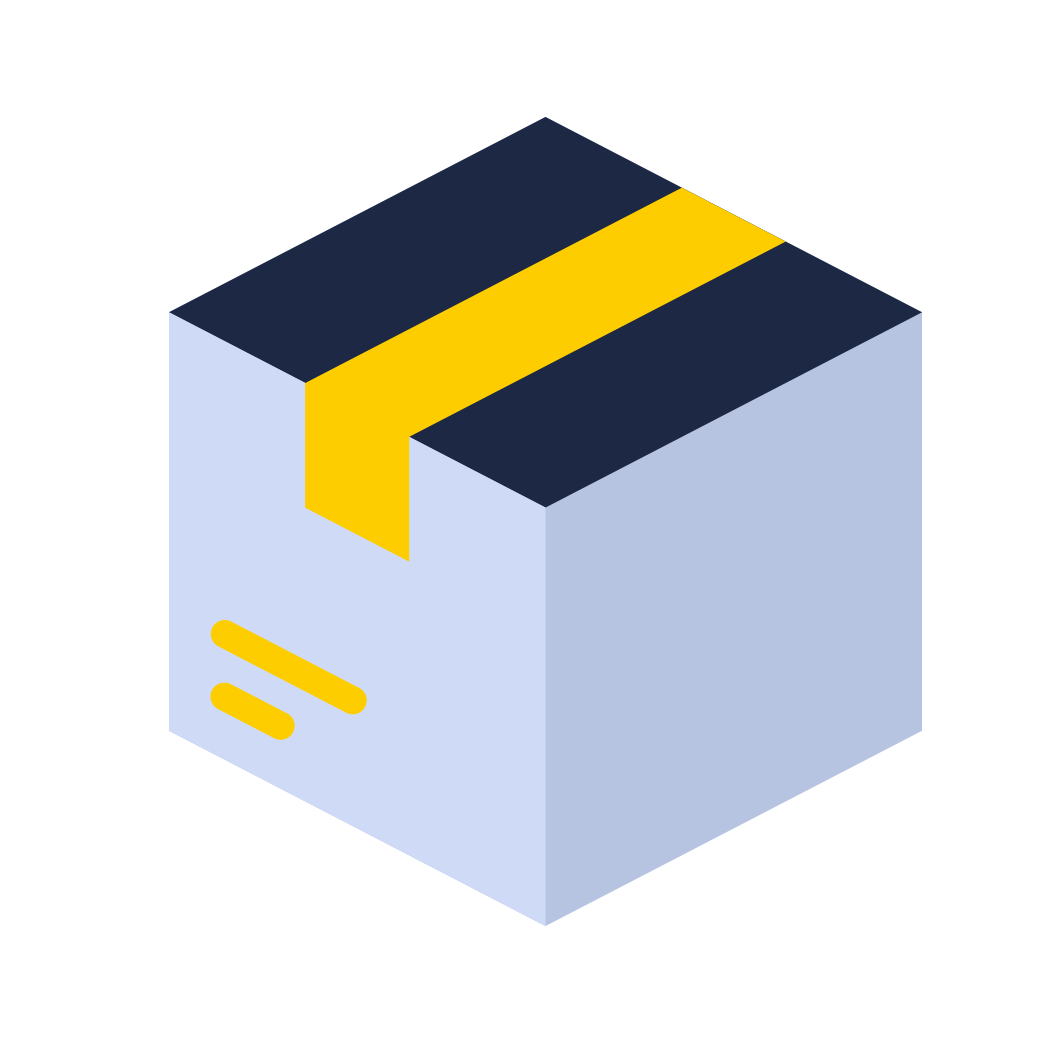 fast courier service for individuals
